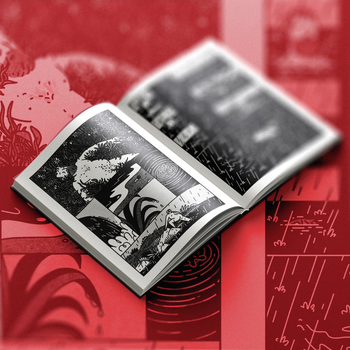 Mirrored Dreams Book