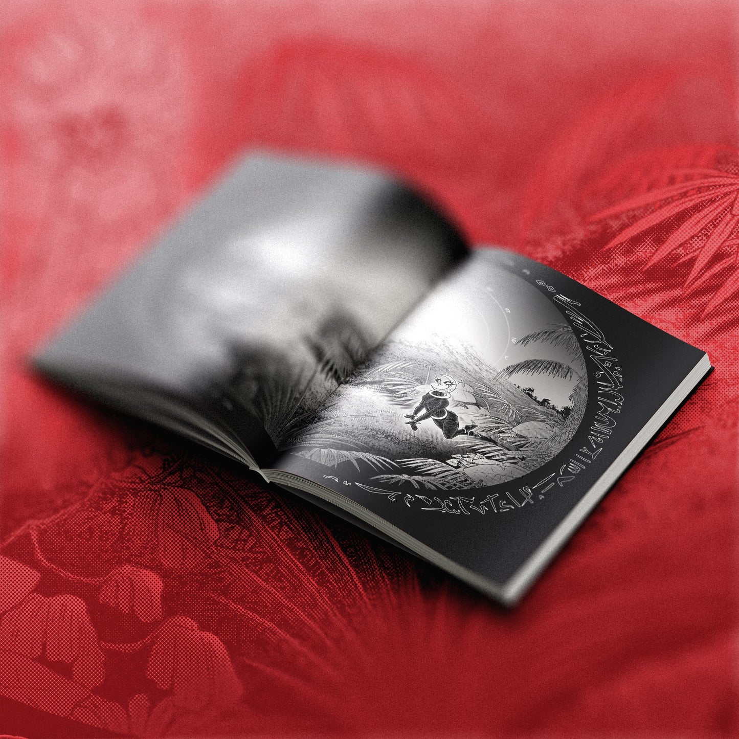 Mirrored Dreams Book